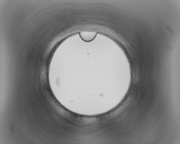 X0000112811498200910021130