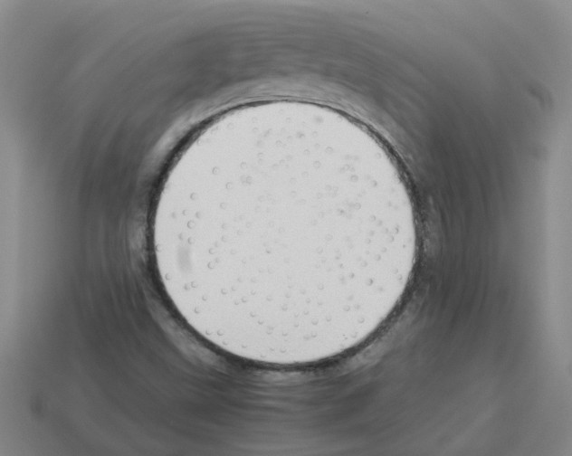 X0000112811499200910021130