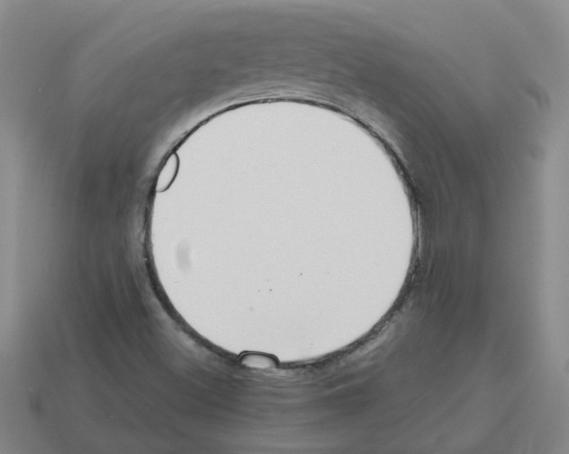 X0000112811500200910021130