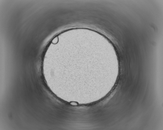 X0000112811502200910021130