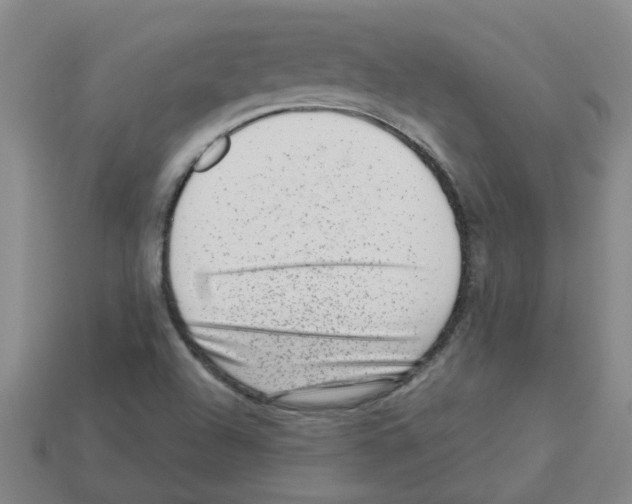 X0000112811504200910021130