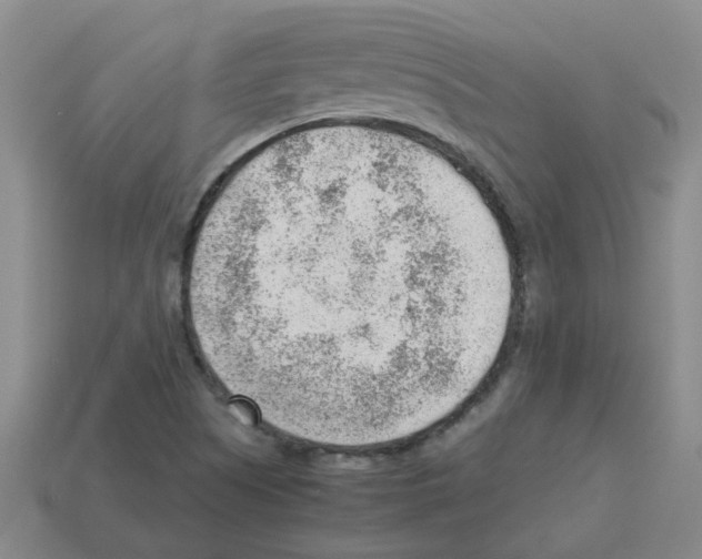 X0000112811505200910021130