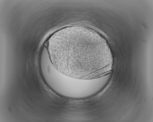 X0000112811506200910021130