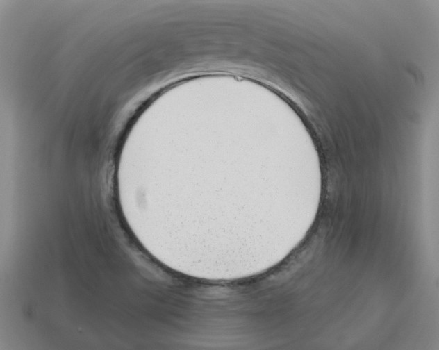 X0000112811507200910021130