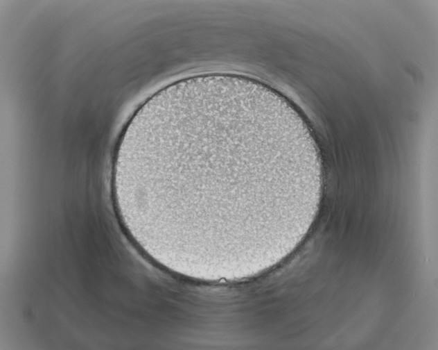 X0000112811508200910021130