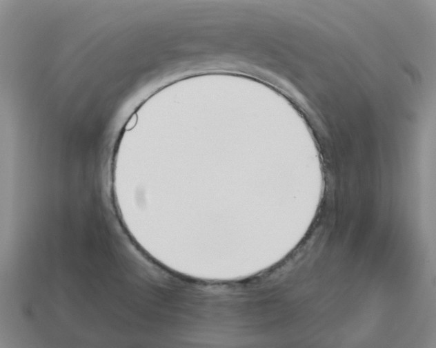 X0000112811512200910021130