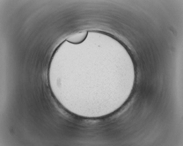 X0000112811513200910021130