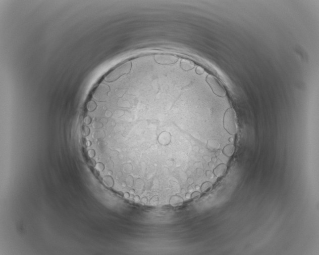 X0000112811514200910021130