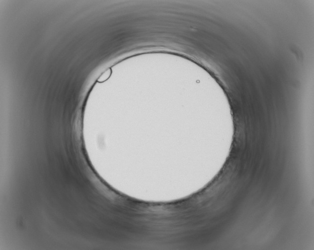 X0000112811516200910021130