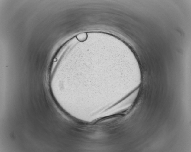 X0000112811517200910021130