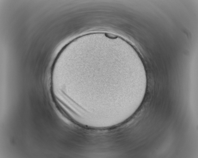 X0000112811519200910021130