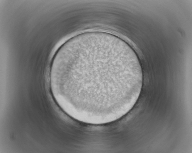 X0000112811522200910021130