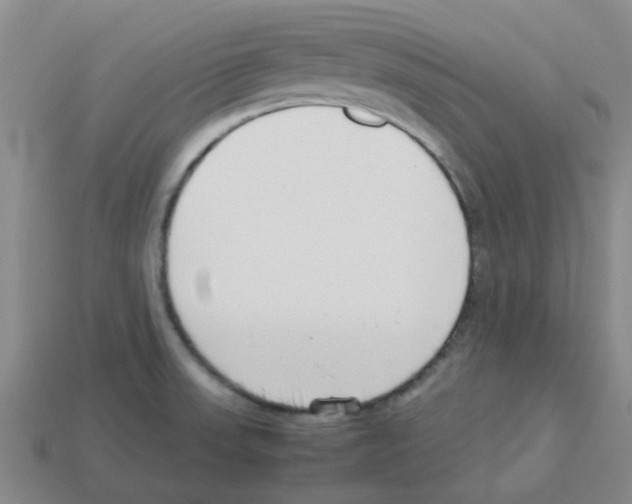 X0000112811523200910021130