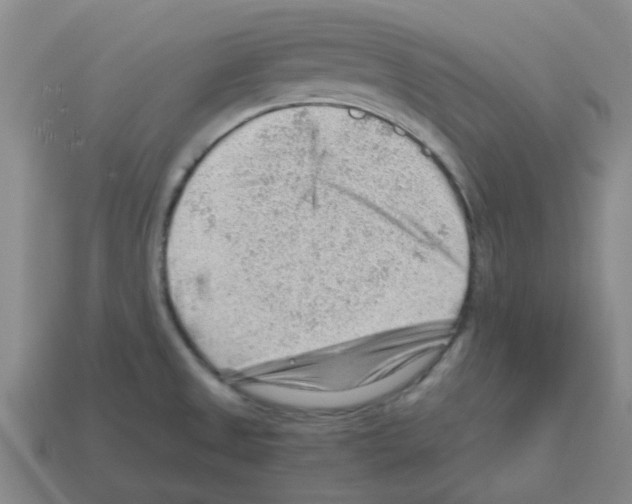 X0000112811525200910021130