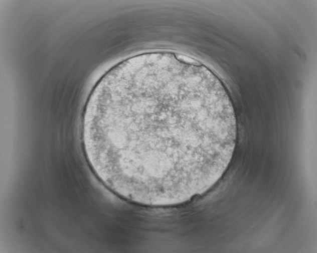 X0000112811527200910021130