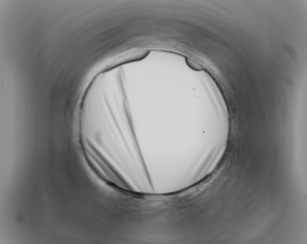 X0000112811528200910021130
