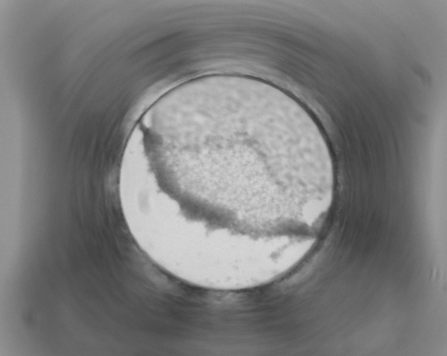 X0000112811529200910021130