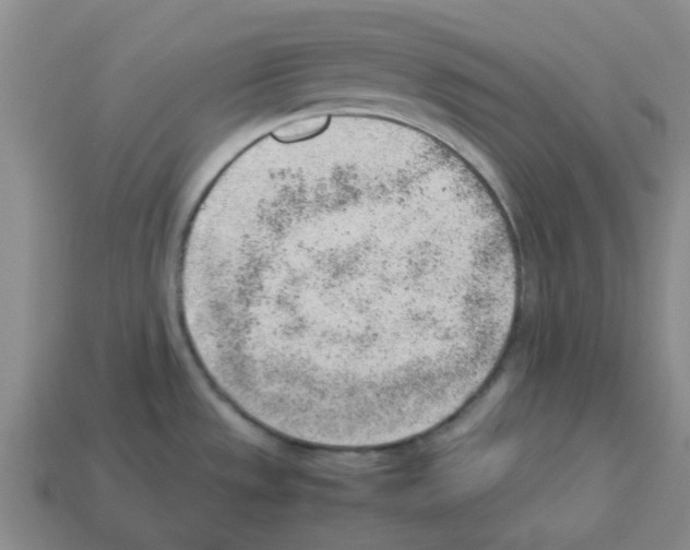 X0000112811533200910021130