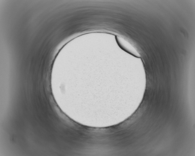 X0000112811534200910021130