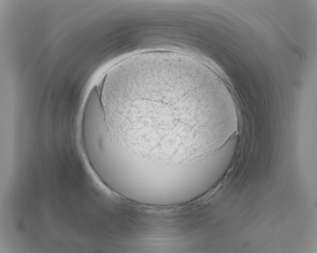 X0000112811536200910021130