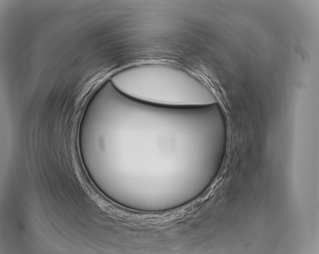 X0000112820001200908211010