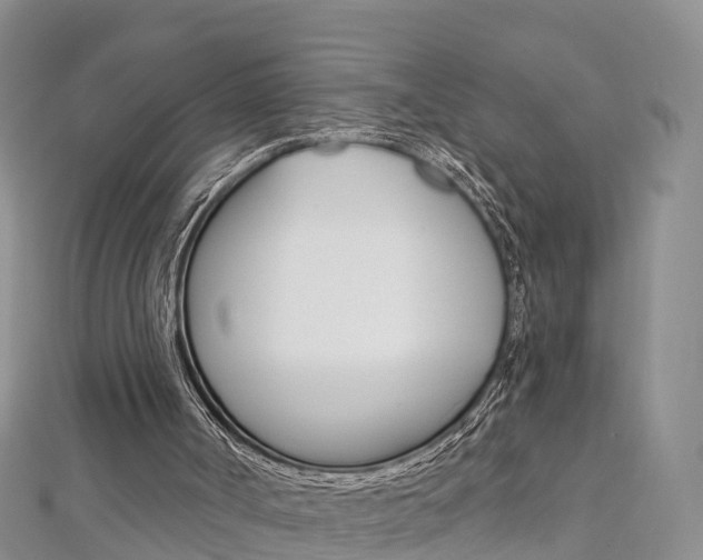 X0000112820002200908211010