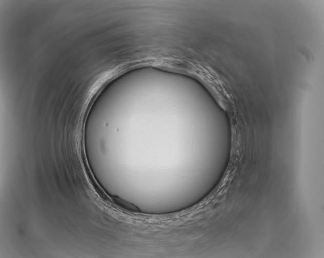 X0000112820003200908211010