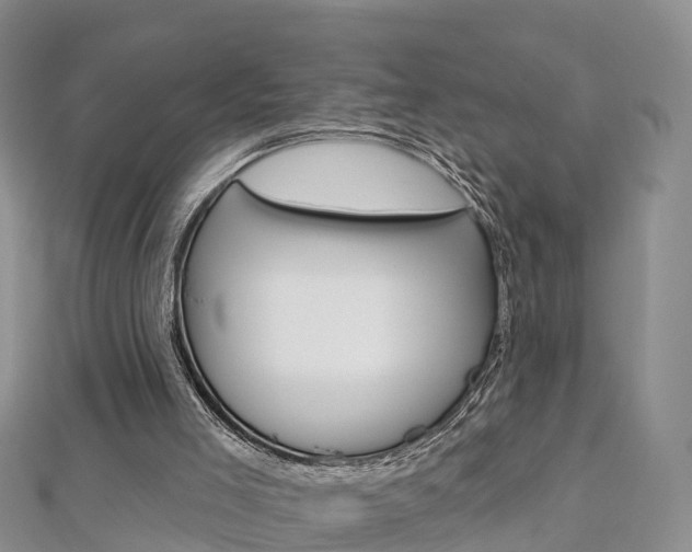 X0000112820005200908211010