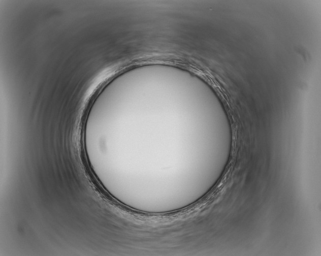 X0000112820006200908211010