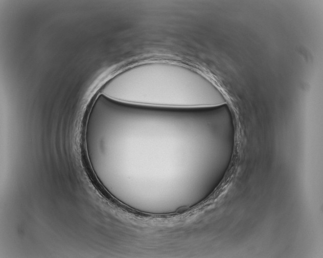 X0000112820007200908211010