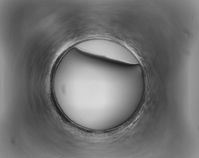 X0000112820008200908211010