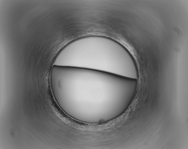 X0000112820009200908211010