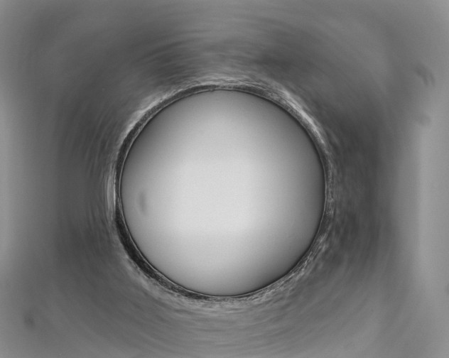 X0000112820011200908211010