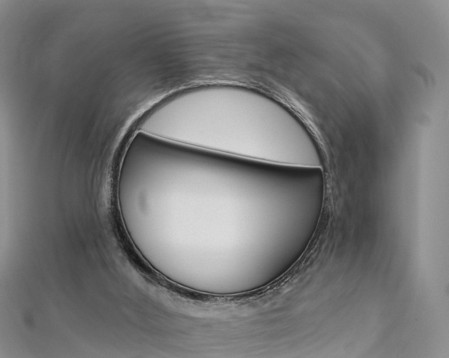 X0000112820012200908211010