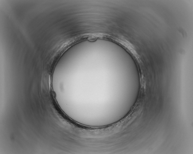 X0000112820013200908211010