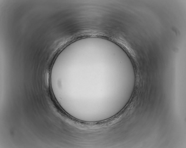 X0000112820014200908211010