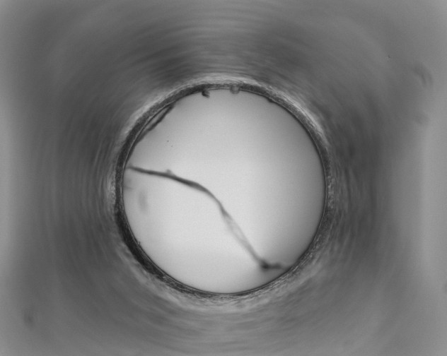 X0000112820015200908211010