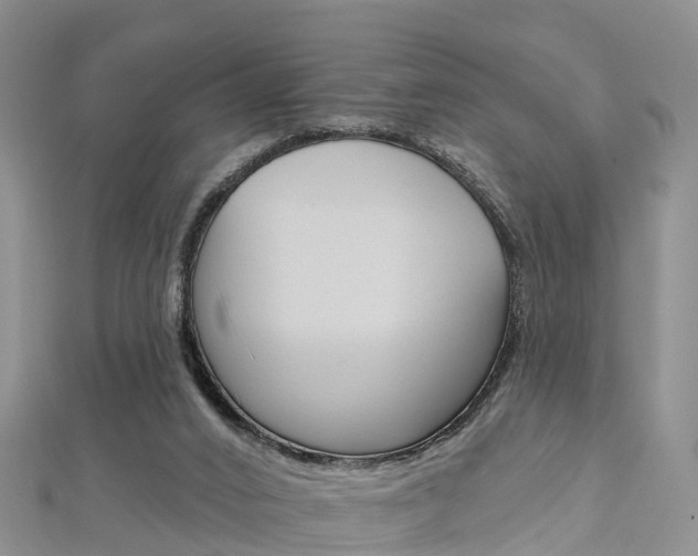 X0000112820016200908211010