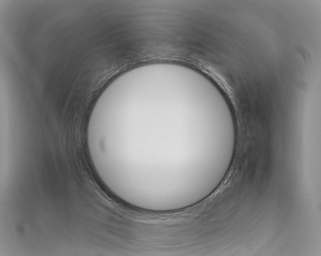 X0000112820017200908211010