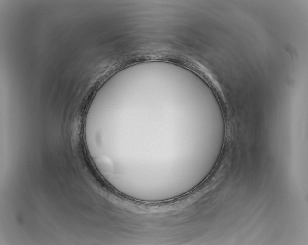X0000112820018200908211010