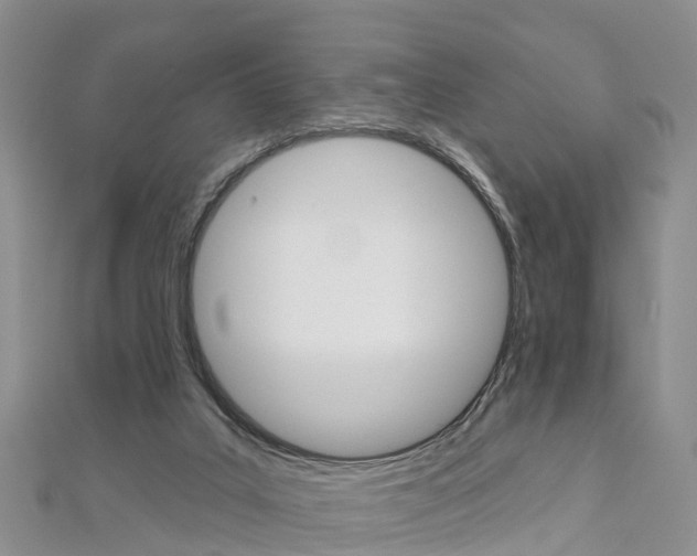 X0000112820019200908211010