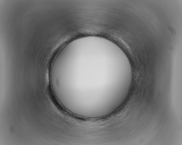 X0000112820020200908211010