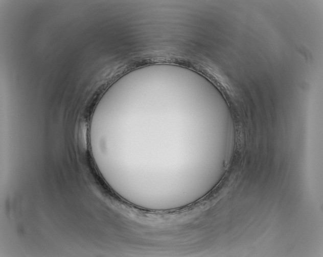 X0000112820022200908211010