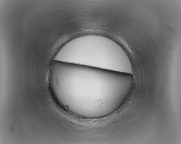 X0000112820023200908211009
