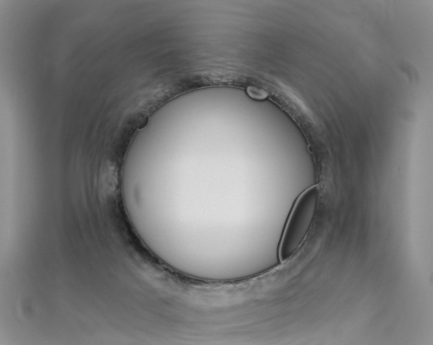 X0000112820025200908211009