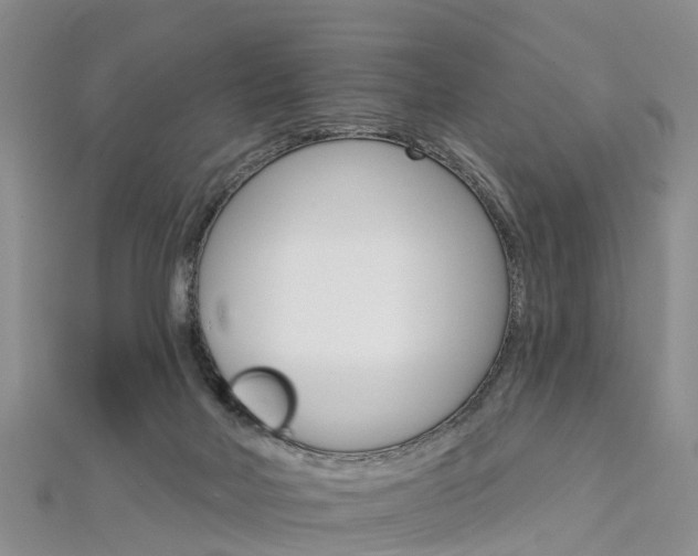 X0000112820026200908211009