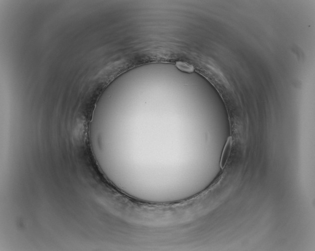 X0000112820029200908211009