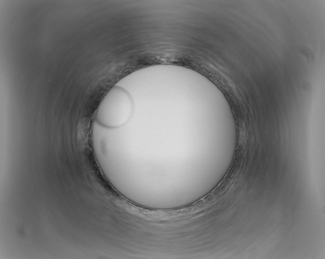 X0000112820030200908211009