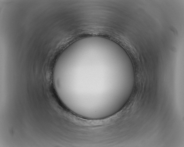 X0000112820031200908211009