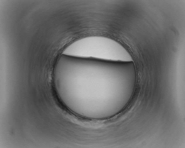 X0000112820032200908211009